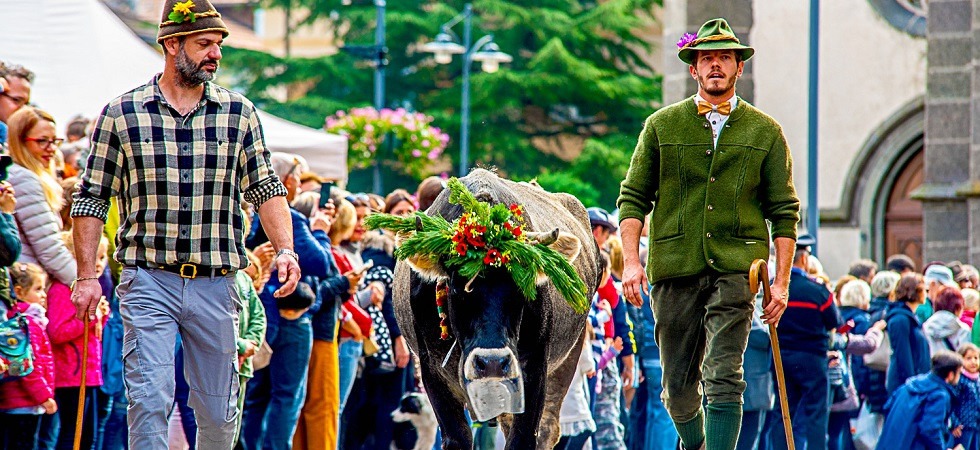 In val di Fiemme il Festival del Gusto e la Desmontegada de le vache tra show cooking, tradizione e territorio